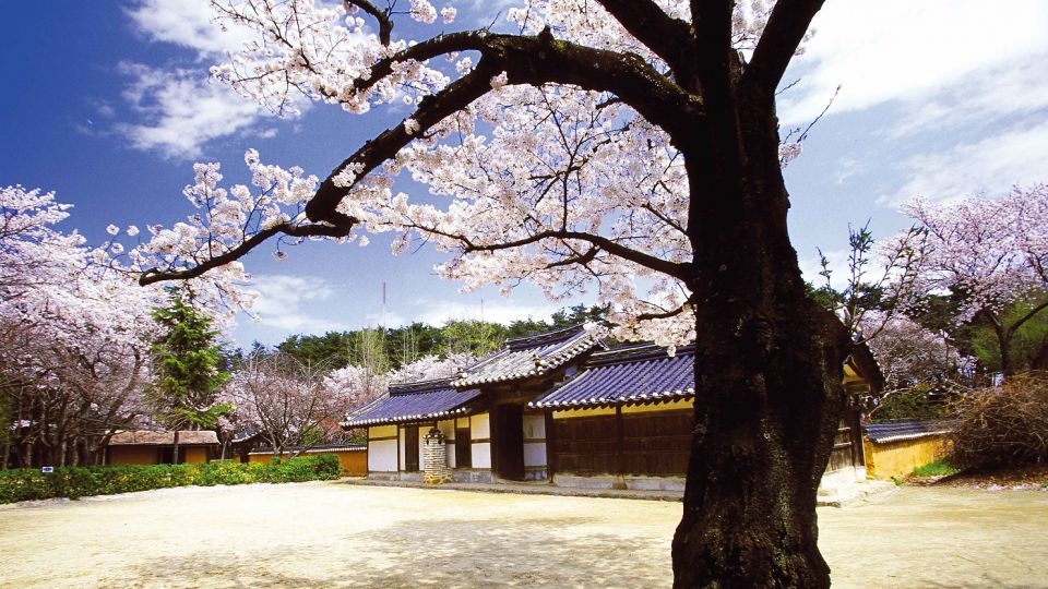 中旅假期中國團新春勁減優惠