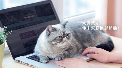 豐澤 高達HK$1,100 現金回贈